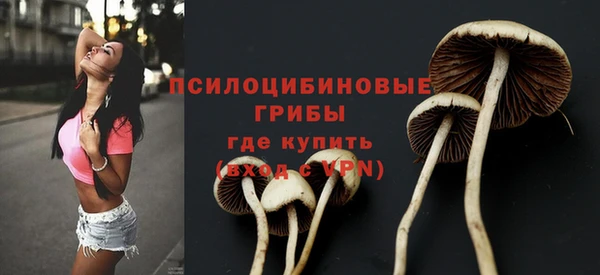 твердый Нягань