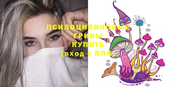 мдма Новодвинск